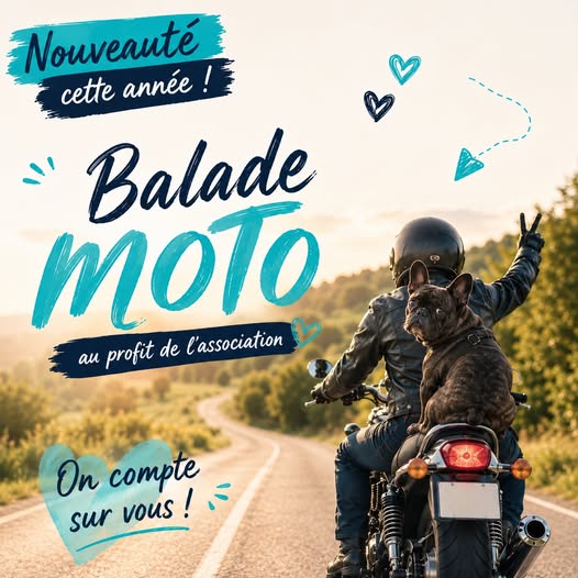 Affiche Une balade au profit de l'association "Les Animaux Putangeois"